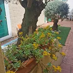 Bed & Breakfast La Chicca Ravenna