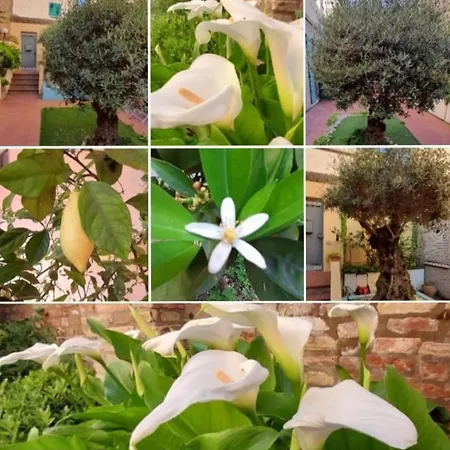 Bed & Breakfast La Chicca 3*