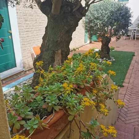 Alojamento de Acomodação e Pequeno-almoço La Chicca Ravena