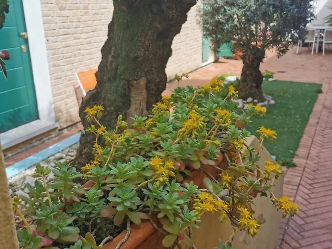 Bed & Breakfast La Chicca Ravenna